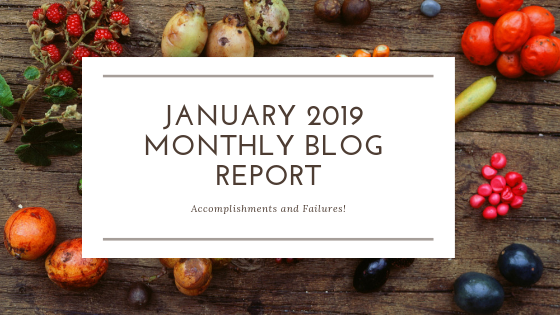 I can not believe that January is already over. This month has been filled with more success than failures! #monthly report #blog income