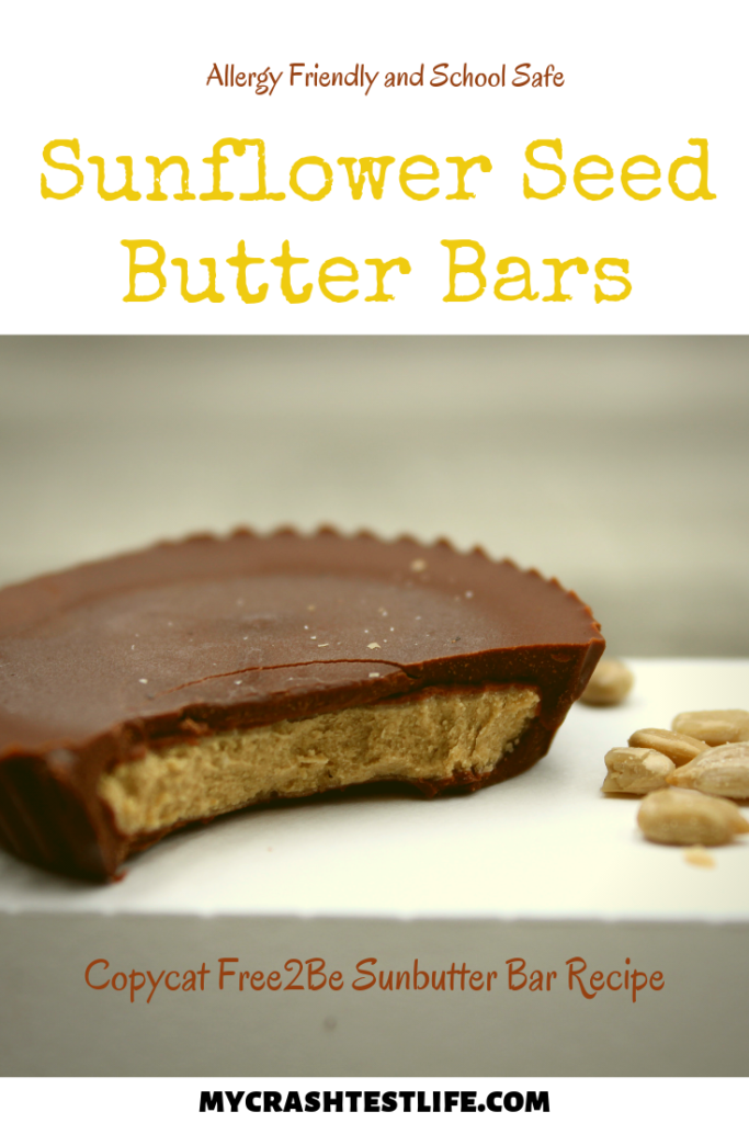 By simply combining sunflower seed butter and some coconut flour, you can create homemade Sunbutter Bars for a fraction of the price.