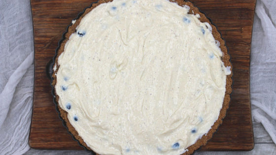 Easy, delicious and healthy, this quick and simple Blueberry Greek Yogurt tart is so good. Perfect for a summer barbecue!