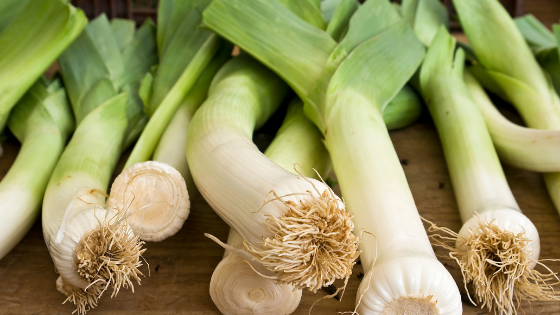 Fresh leeks not yet cleaned