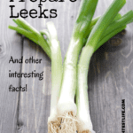 A bunch of raw leeks