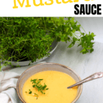 a spoon in a bowl of mustard dipping sauce