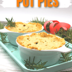 vegan and whole30 pot pies