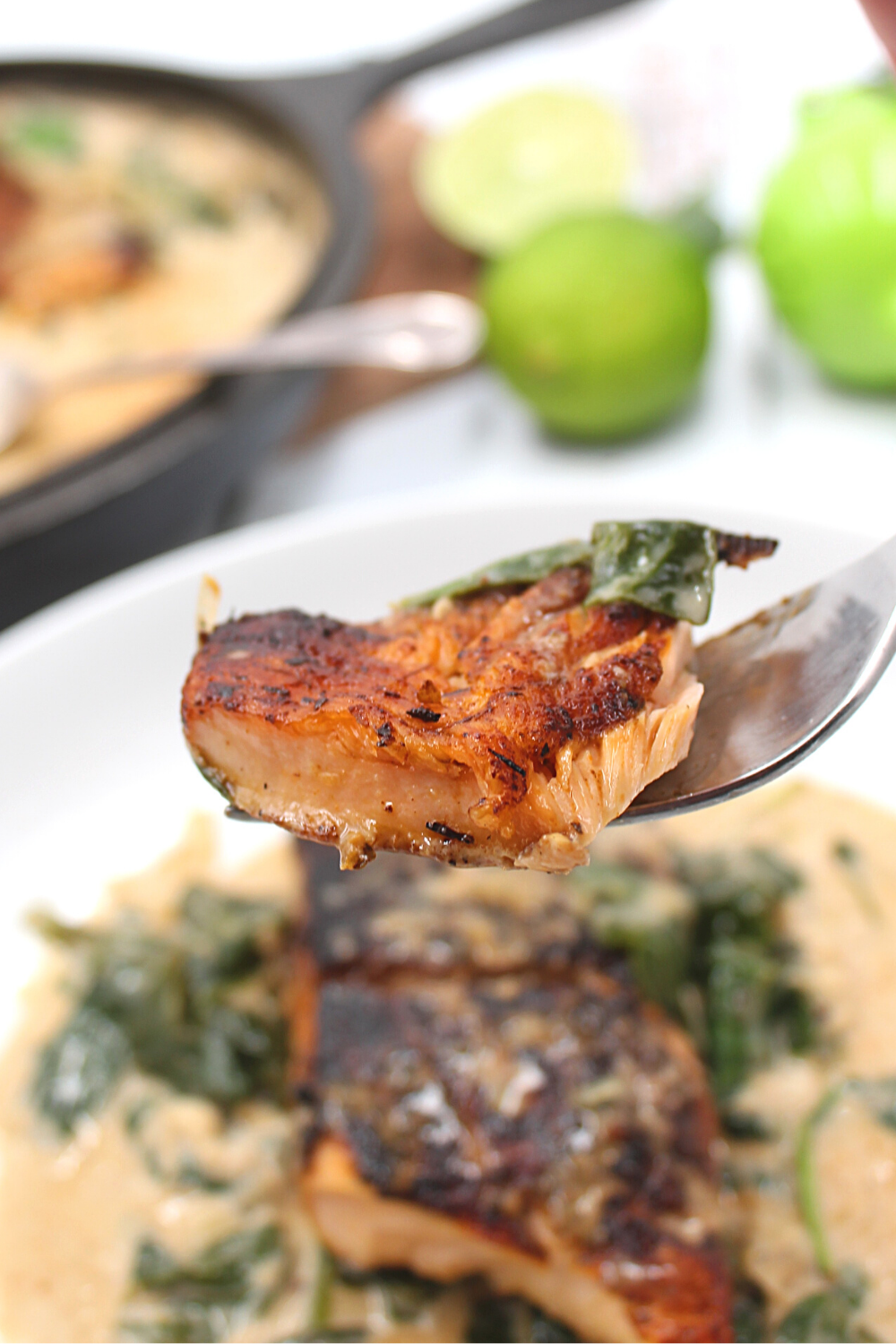 a piece of salmon
