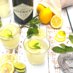 gin, mint, lemon and sugar-free simple syrup