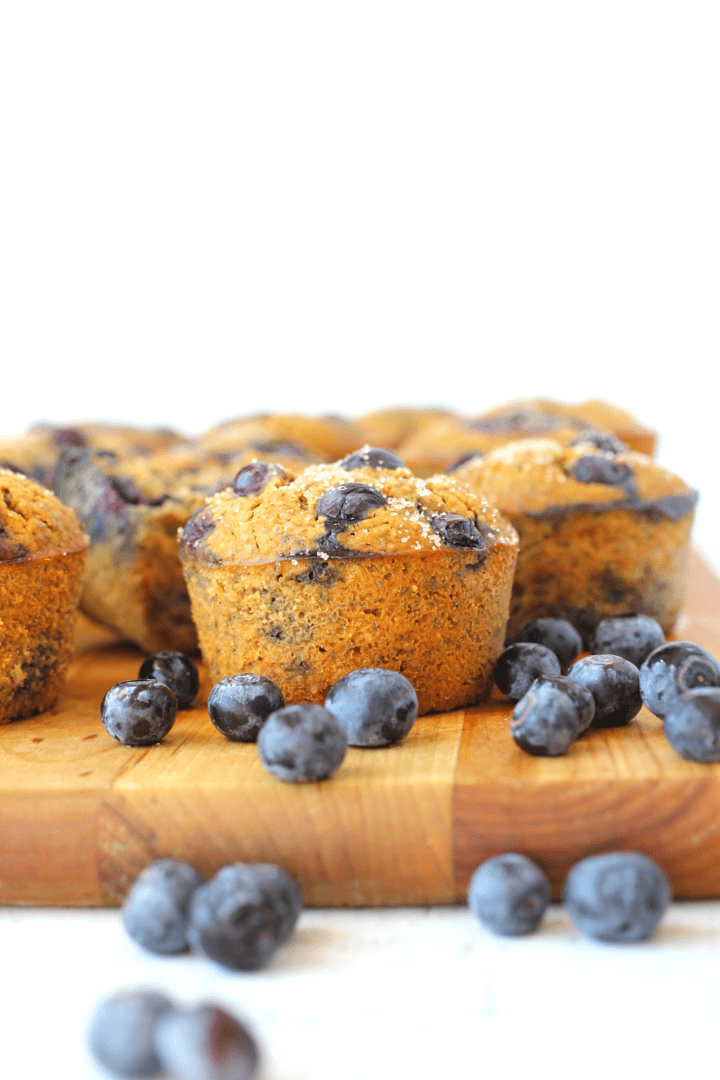 Healthy Keto Blueberry Muffins Nutfree, High Fiber