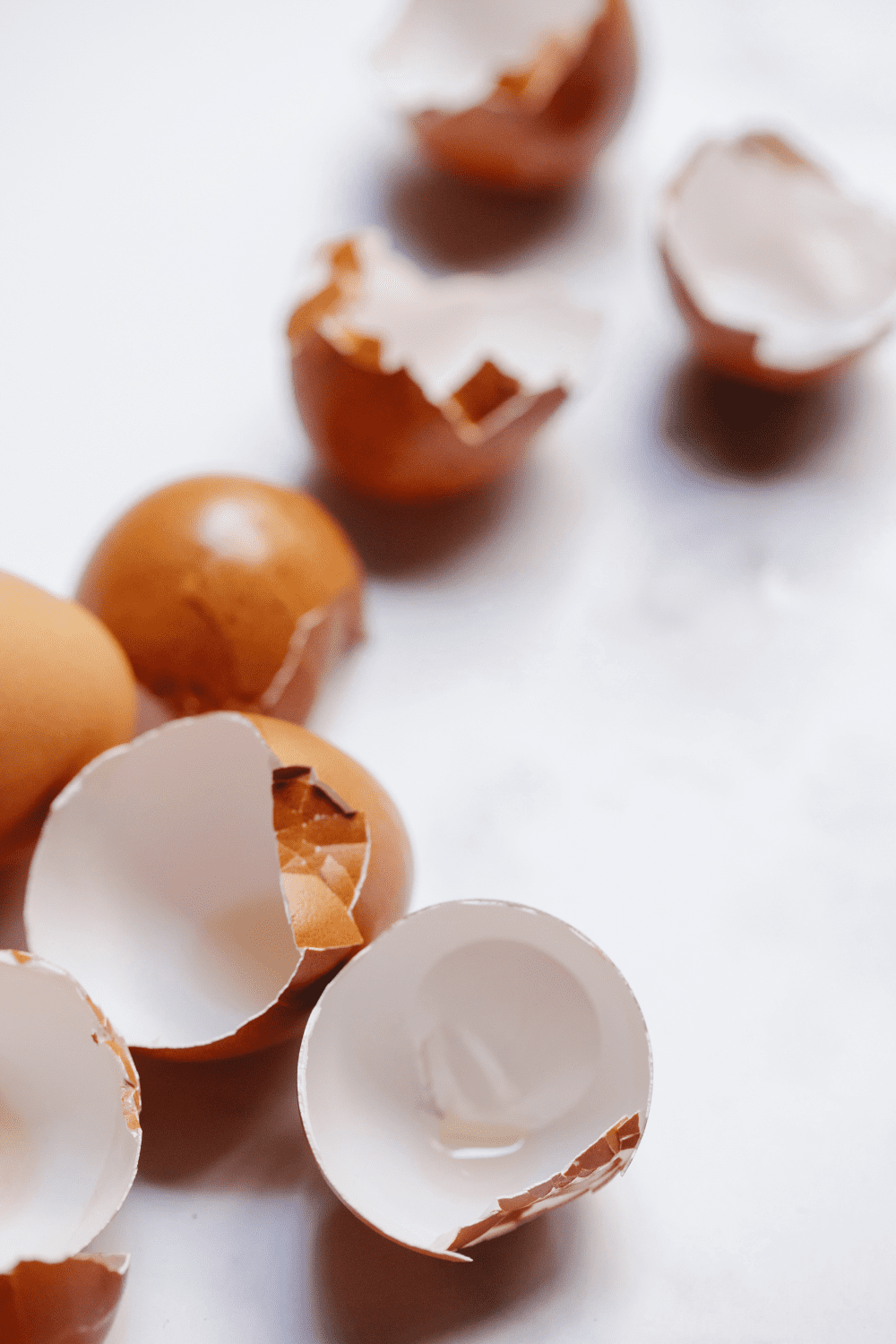 a picture of cracked egg shells since eggs can be used on both the psmf diet and carnivore diet.
