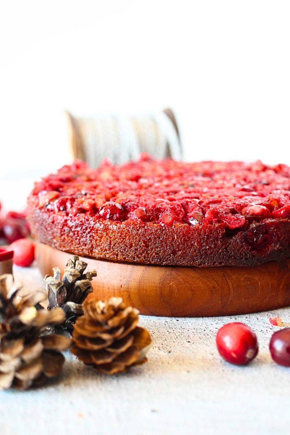 front view of layers of cranberry and keto vanilla sponge cake with pine cones as decoration