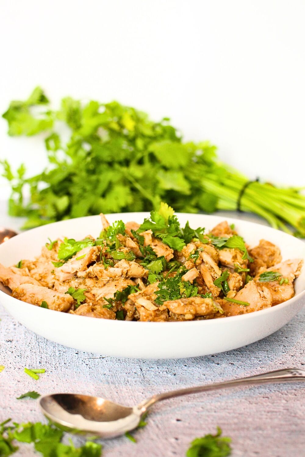 front view of  a bowl filled with crockpot cilantro chicken with a spoon and more fresh cilantro