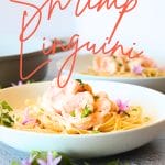 front view of keto pasta with creamy shrimp