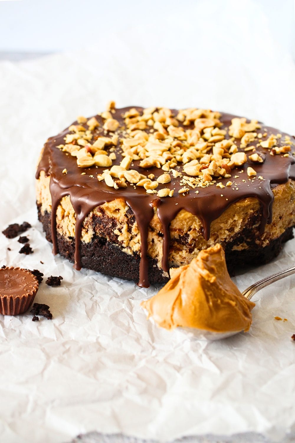 front view of keto peanut butter chocolate cheesecake with a sugar-free Reese's peanut butter cup and a spoonful of peanut butter