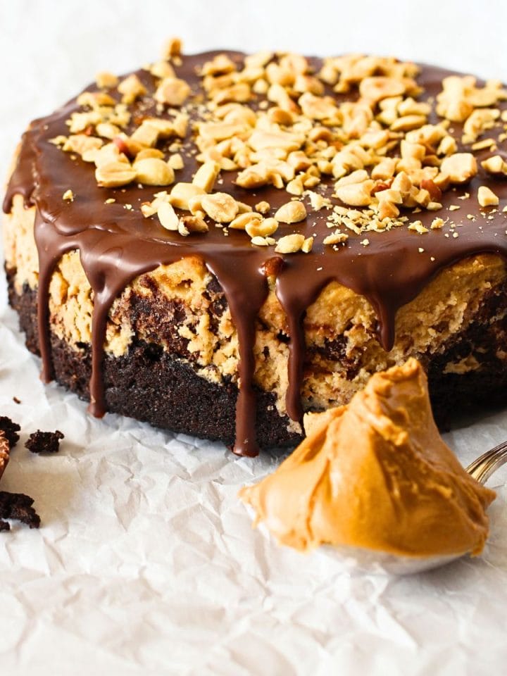 front view of keto peanut butter chocolate cheesecake with a sugar-free Reese's peanut butter cup and a spoonful of peanut butter